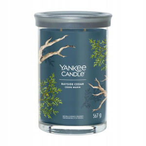 Yankee Candle Tumbler z 2 knotami Bayside Cedar