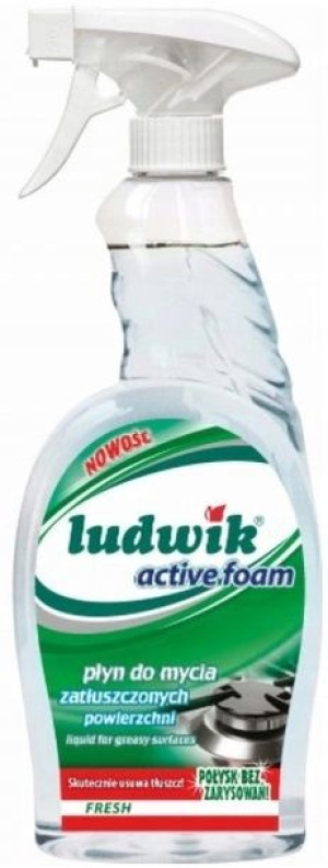 Ludwik Płyn do mycia zatłuszczonych powierz 750ml