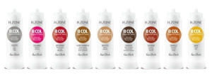 Renee Blanche B.Col maska koloryzująca 300ml miód