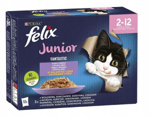 Karma Felix Fantastic kot Junior Kurczak 12x85g