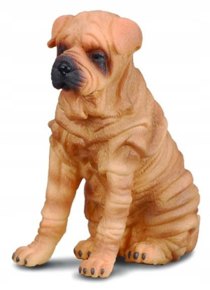 Collecta Figurka Pies Rasy Shar Pei 88193