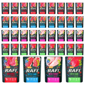 Dolina Noteci Rafi Psa Saszetka Mix Smaków 40x300g