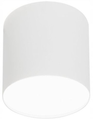 Spot sufitowy Nowodvorski POINT PLEXI LED WHITE M