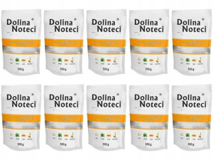DOLINA NOTECI PREMIUM psa Kaczka z Dynią 10 x 500g