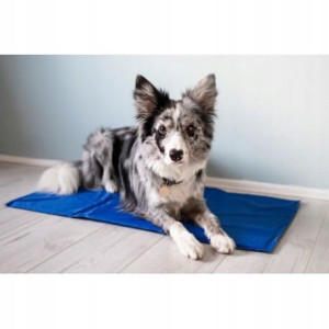 PET SUPPLIES COOLING MAT na upały dla psa 90x50cm