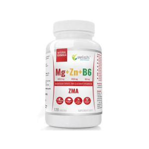Mg+Zn+Vit B6 x 120 tabl