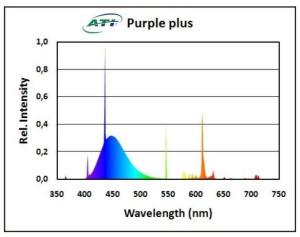 ATI Purple plus 24 Wat