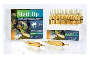 Prodibio Start Up 2 ampułki