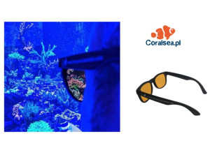 D-D Coral Glasses Okulary