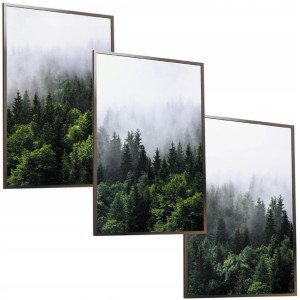 Zestaw 50x40 Ramka Plakat Obraz Las W Mgle Natura