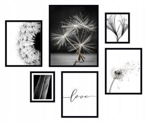 6x Obraz Ramie Plakaty Ramka Boho Mlecz Dmuchawce