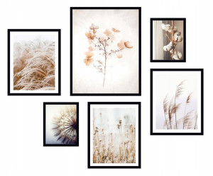 6x Obraz W Ramie Plakaty Ramka Boho Pampas Trawa