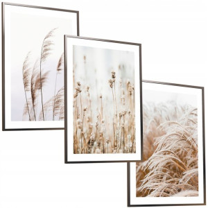 50x40 Obrazy W Ramie Plakaty Ramka Boho Trawa Pampas