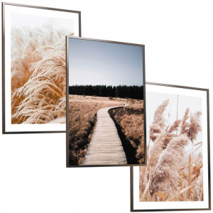 30x40 Obrazy W Ramie Plakaty Ramka Boho Most Pampas