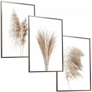 30x40 Obrazy W Ramie Plakaty Ramka Boho Sucha Trawa Pampas
