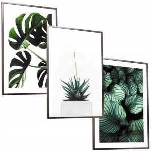 30x40 Obrazy W Ramie Plakaty Ramka Obraz Plakat Monstera