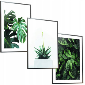 30x40 Obrazy W Ramie Plakaty Ramka Obraz Monstera Plakat