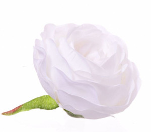 Róża poppy kremowa główka