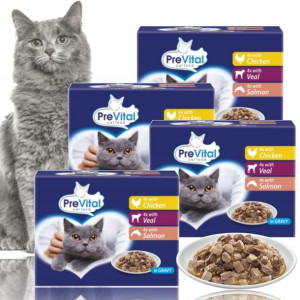 PREVITAL Mokra karma kot saszetki Mix 48x100g Box