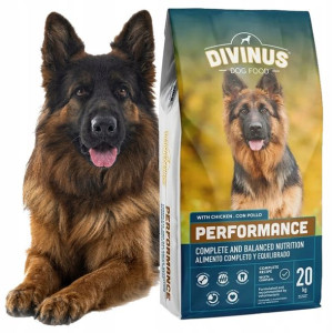 DIVINUS dla Owczarka Labradora 42% Mięsa 20kg