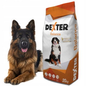 Zdrowa Owczarek Labrador Golden Husky Dexter 20kg