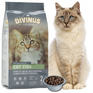 DIVINUS Cat Fish karma sucha dorosłe koty 2kg