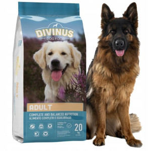 Divinus DUŻE PSY GOLDEN LABRADOR NIEMIECKI dog 20K