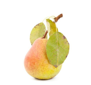 10 Kg Opakowanie Zbiorcze (kg) - Gruszki Świeże Bio (około 10 Kg)