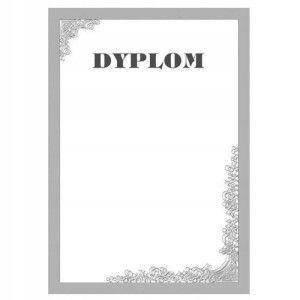 Dyplom 190g/m2 25 szt. SILVER