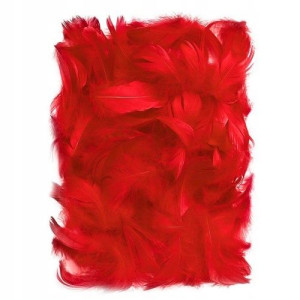 Piórka dekoracyjne ozdobne 10g czerwone RED