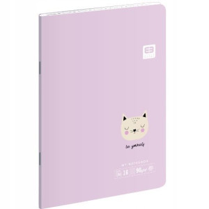 Zeszyt A5 16k 3-linia kolorowa BBI Friends Girls