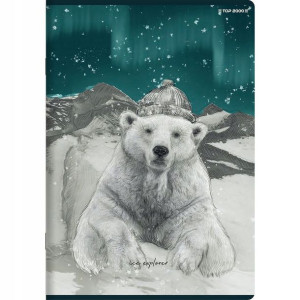 Zeszyt A5 60k linia FOREST/ICE 70g TOP2000