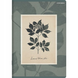 Zeszyt A5 32k linia pojedyncza FLOWERS TOP2000