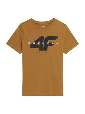 Koszulka T-shirt chłopięcy 4F S23TTSHM290 brązowy