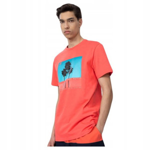 Koszulka Męska 4f Sportowa T-shirt Bawełna 3xl
