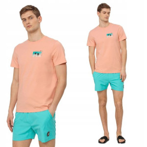 Koszulka Męska 4f Sportowa T-shirt Bawełna L