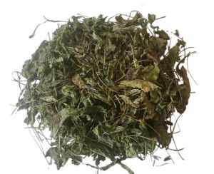 Jeżówka Purpurowa Echinacea Liść Ziele Jakość 250g