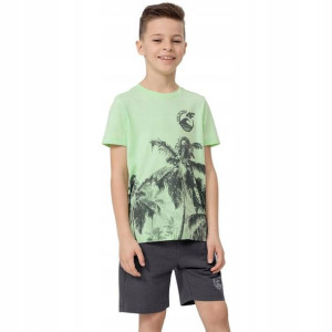 Koszulka Chłopięca 4f T-shirt Bawełna 122