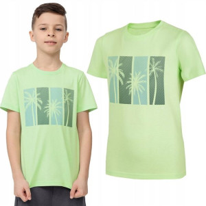Koszulka Chłopięca 4f T-shirt Bawełna 134