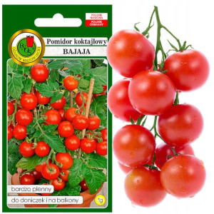 Pomidor Koktajlowy Bajaja Plenny Nasiona Bez Gmo