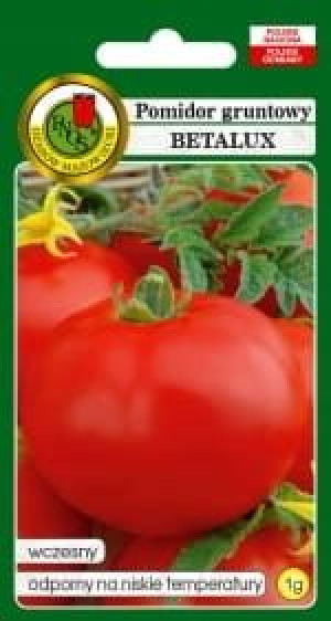 Pomidor Gruntowy Betalux Nasiona Bez Gmo
