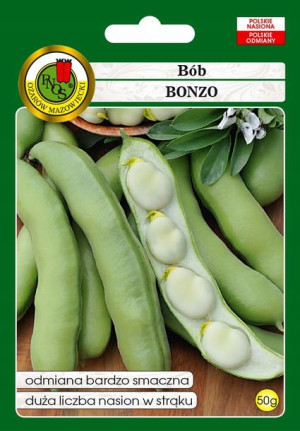 Bób Bonzo Smaczny Dużo Nasion Nasiona Bez Gmo