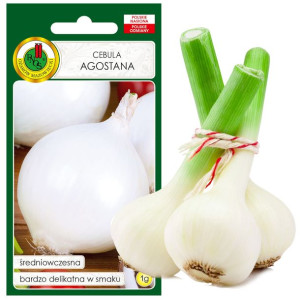 Cebula Agostana Delikatna Wczesna Nasiona Bez Gmo