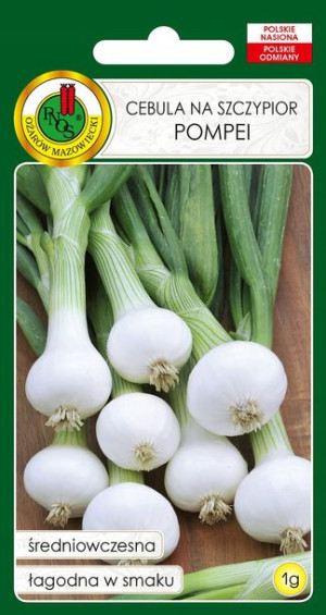 Cebula Pompei Szczypiorkowa Nasiona Bez Gmo