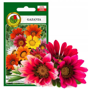 Gazania Wielokolorowa Dług Kwitnie Nasiona 0,8g