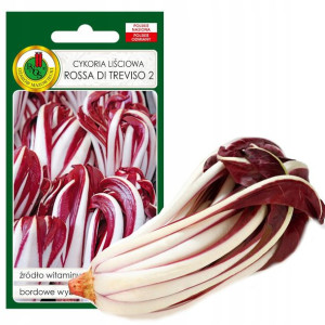 Cykoria Liściowa Rossa Di Treviso Nasiona Bez Gmo