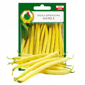 Fasola Szparagowa Żółta Maxela Nasiona Bez Gmo