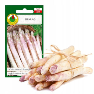 Szparag Argenteuil Wieloletni Nasiona Bez Gmo