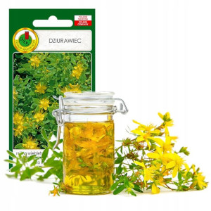 Dziurawiec Zioła Nasiona Ziół Bez Gmo