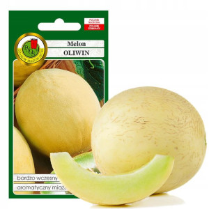 Melon Oliwin Wszesny Aromatyczny Nasiona Bez Gmo
